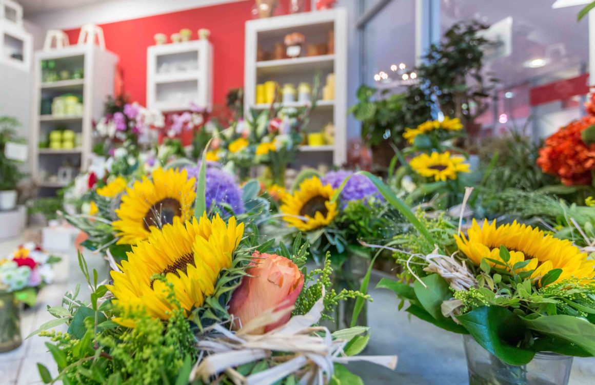 Floristik `99 Marktpassage Apolda