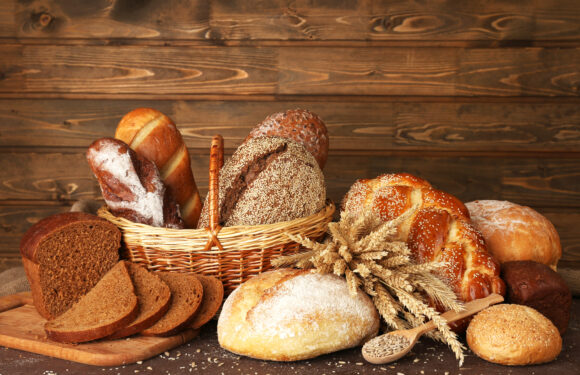 Täglich STERNENBÄCK – der Duft von frischem Brot
