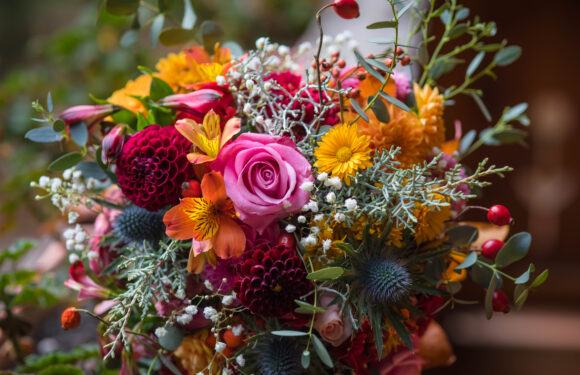 Blumen zum Frauentag – ein schöner Brauch