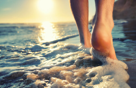 Schenken Sie mit Umsicht, dann beschenken Sie sich!