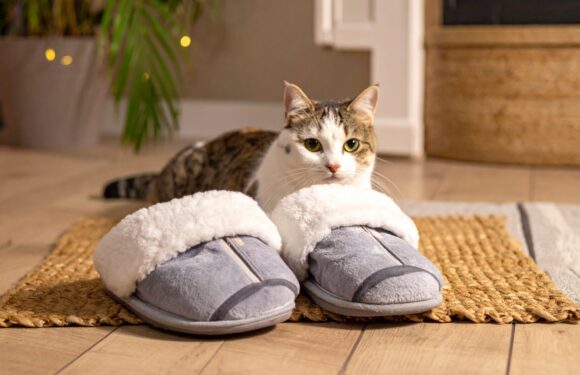 Kuschelfaktor für Ihre Füße und Ihr Wohlbefinden